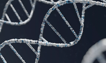 Tratamento para DMRI baseado em genes mostra potencial