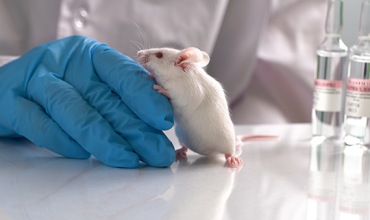 Terapia com DNA controla Glaucoma de camundongos