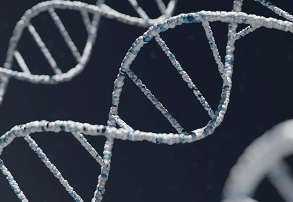 Tratamento para DMRI baseado em genes mostra potencial